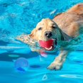 thumbnail image 5 of Juguete de pelota para perros, pelota que rebota para perros, juguete interactivo para perros, pelota indestructible para perros, dientes de limpieza de perros de juguete de caucho natural, para cachorros MFZFUKR ZYY-0378, 5 of 5