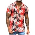 thumbnail image 2 of Floenr Mens T Shirts,Men's Lapel Hawaiian Print Loose Short Sleeve Shirt, 2 of 3