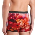 thumbnail image 5 of Disketp Autumn Maple Leaves Men'S Boxer Briefs,Soft And Breathable Cotton Underwear With Comfortflex Waistband, 5 of 9