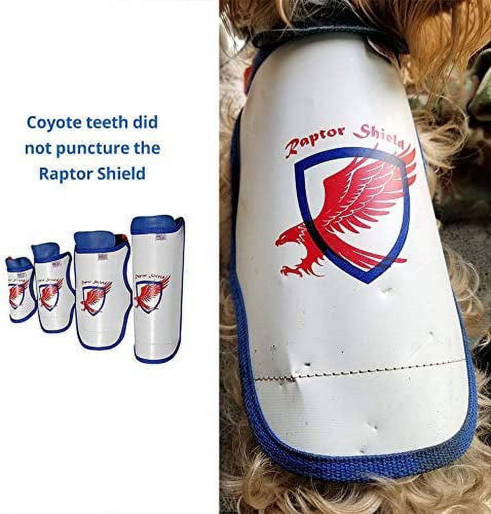 Raptor Shield  Small, 4-6.5 lbs, Chest 10.5 to 13.5"