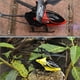 thumbnail image 4 of Bearachild Mini helicóptero RC recargable, Dron electrónico de 2 canales, avión resistente a caídas, energía, Control remoto, juguetes para Accesorios para drones aéreos amarillo, 4 of 6