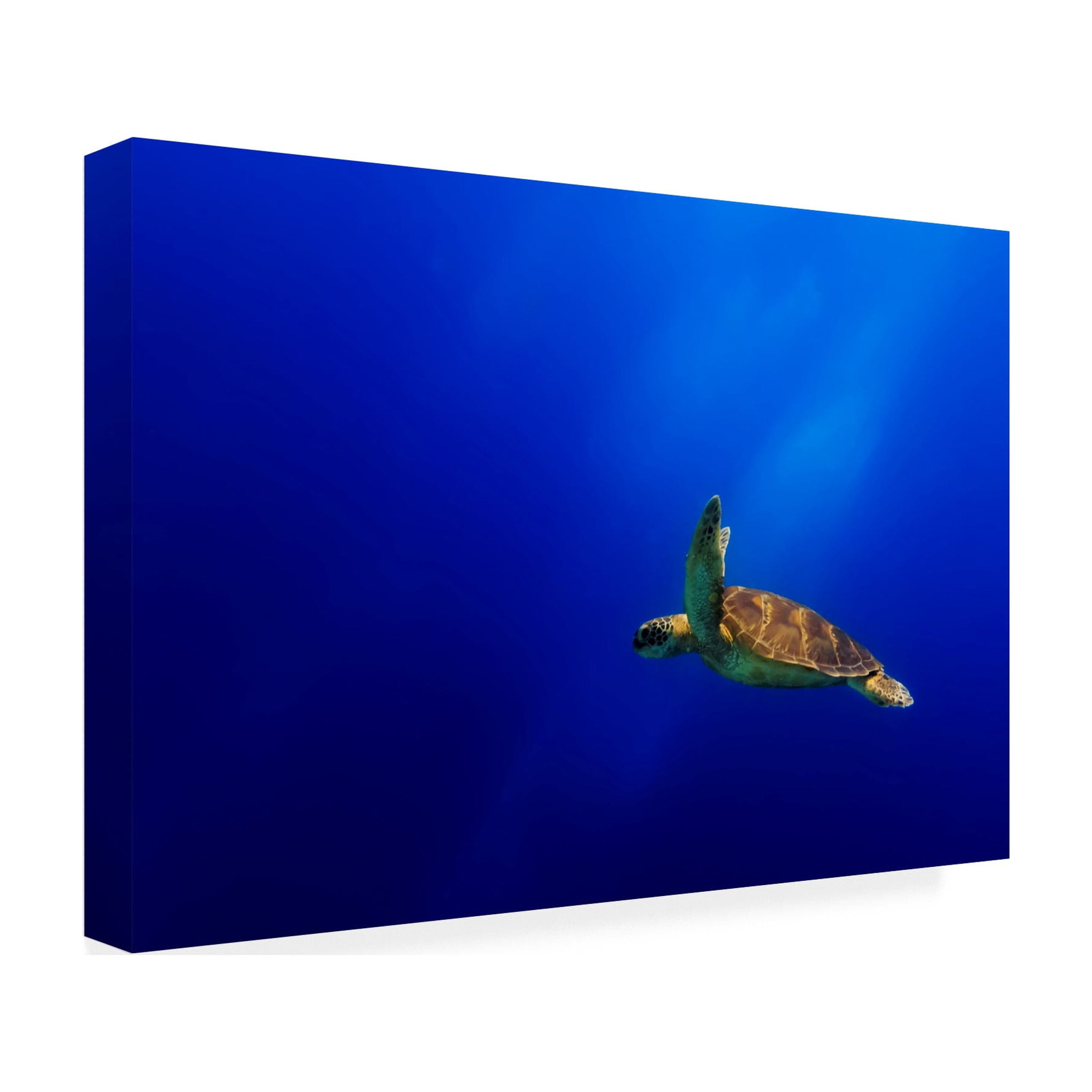 Mato P. 'Flying' Canvas Art