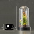 thumbnail image 4 of Sullivans Artificial Succulent in Plastic Globe with Lights 9"H, Green, 4 of 4