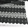 thumbnail image 2 of Black Darla Pattern Poly Chemical Lace Fabric, DIY Projects by the Yard, 2 of 2