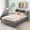 Gray, variant on Noble House Katen Twin Bed with Extra Trundle and Bookcase Storage, Pine Wood Platform Bed with Bookshelf, Espresso