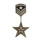 thumbnail image 1 of Paquete de 2-4 mini medallas de estrella de metal de aleación vintage, broche pequeño con insignia, antiguo 2 piezas, 1 of 7