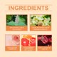 thumbnail image 3 of ¡Compre 2 y obtenga 3! Aceite De Perfume De Rodillo De Feromonas, Perfume De Feromonas, Perfume De Fiesta, Imprescindible Para Parejas, Regalo Conmovedor (aroma A Rosa/Océano),10ML, 3 of 4