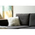 thumbnail image 5 of MONGOLIAN SHEEPSKIN PILLOW 18" X 18" 2-PACK, 5 of 5