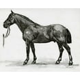 thumbnail image 2 of Stellar Design Studio 31x26 White Modern Wood Framed Museum Art Print Titled - Horse Study 4, 2 of 4