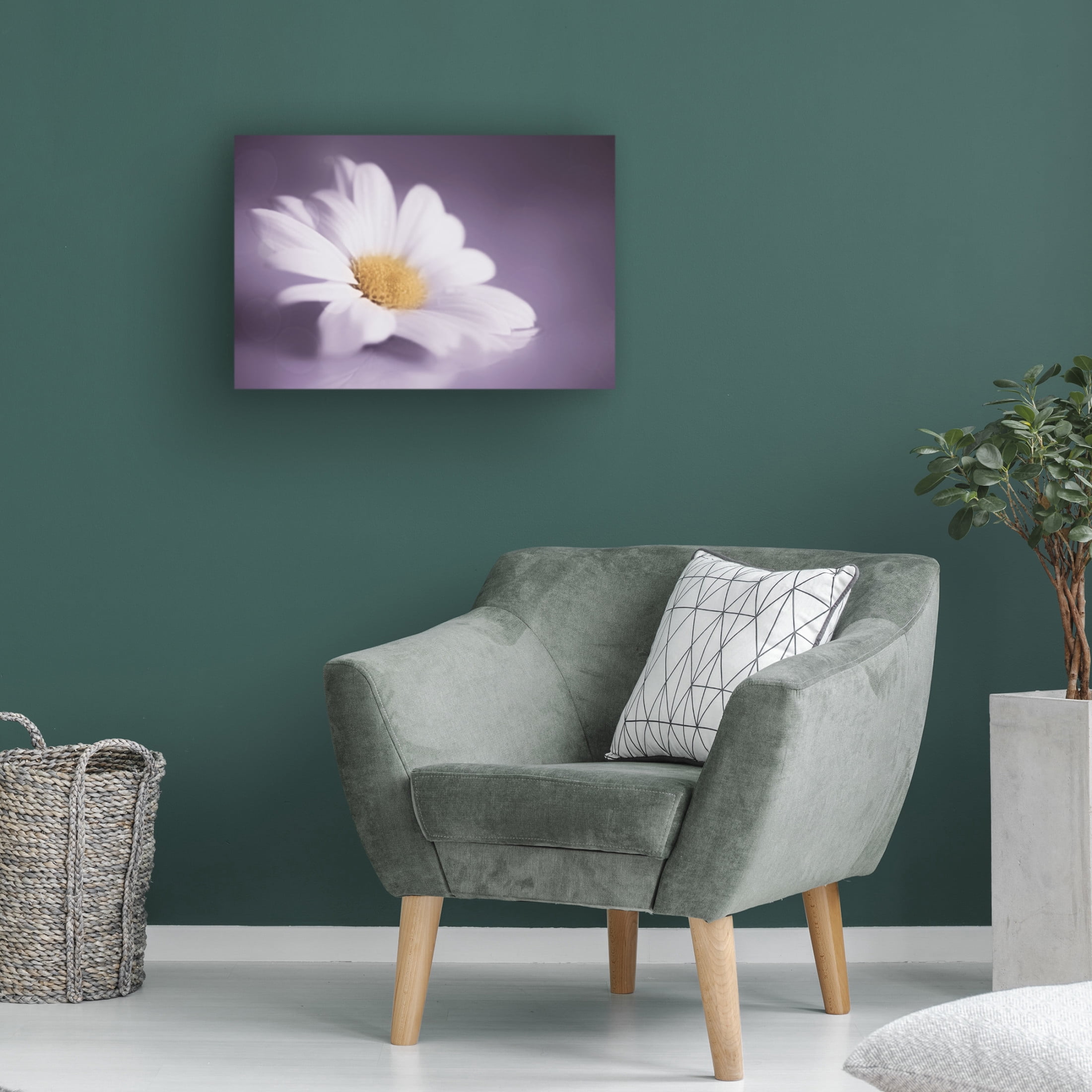 Canvas Wall Art - Cicek Kiral 'Soft Was The Light' Wall Art for Living Room, Bedroom, or Office Décor by Trademark Fine Art - 19 x 12 Inches