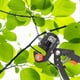 thumbnail image 5 of Garden Grafting Pruner with Storage Bag for Fruit Tree Branch Cutting, 5 of 5