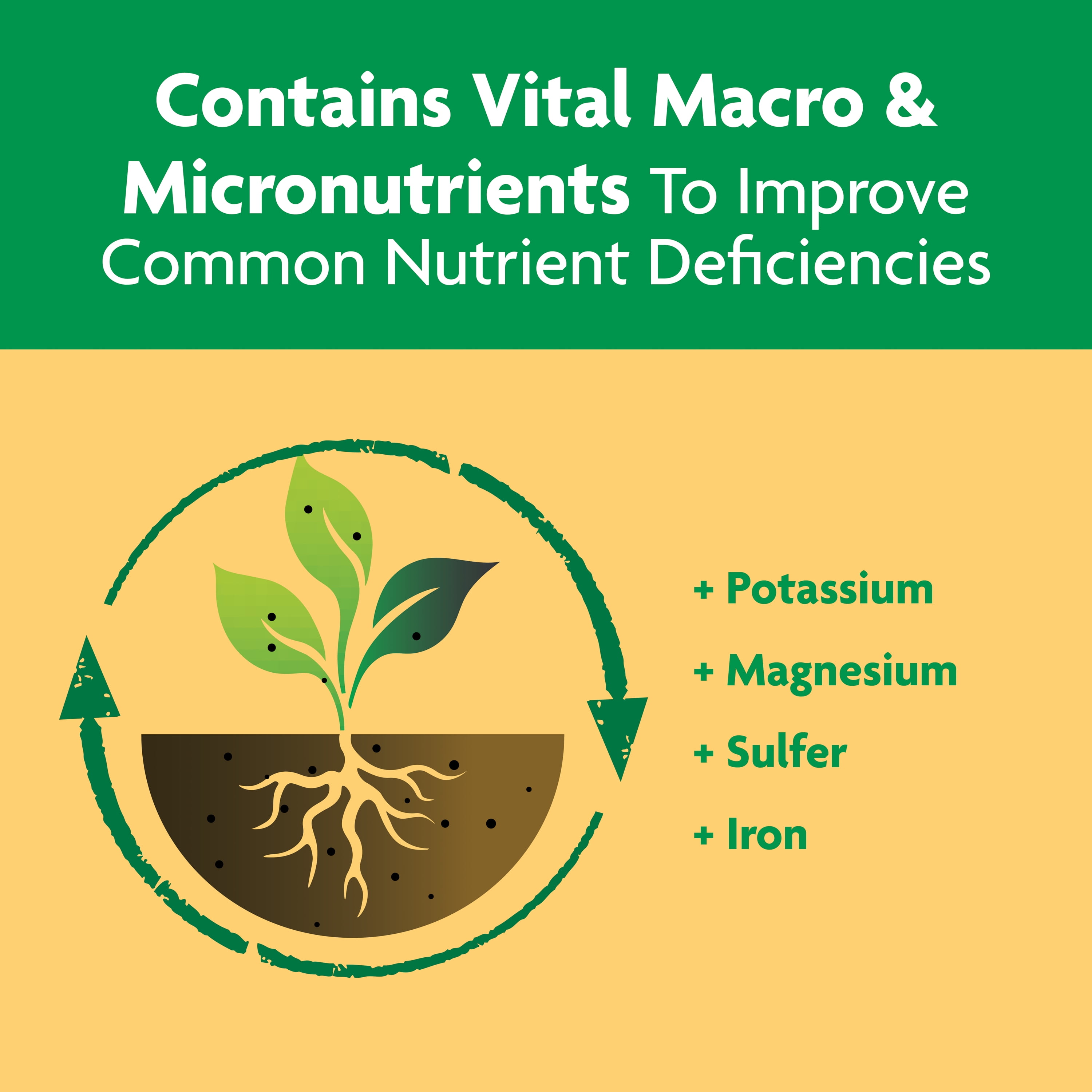 Miracle-Gro Shake 'n Feed for Citrus, Avocado & Mango, 3002710 , 4.5 Lb.