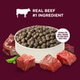 thumbnail image 5 of Rachael Ray Nutrish High Protein Adult Dry Dog Food, 4 Lb. Bag, 5 of 11