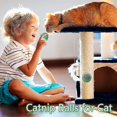 thumbnail image 2 of 4 Pieces Catnip Wall Balls For Indoor Cats Rotatable Self-adhesive Catnip Edible Licking Balls, 2 of 5