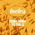 thumbnail image 6 of Avelina Cinnamon Oatmeal | 100% Gluten Free | Wholesome Whole Grain Oats For Breakfast, Baking, or Smoothies, 4-Pack (12.3 oz Bags), 6 of 6
