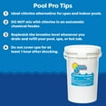 In The Swim 1 Inch Bromine Tablet Sanitizer for Spas, Hot Tubs, or