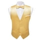 thumbnail image 3 of Chaleco de seda elegante para hombres, conjunto de chaqueta sin mangas, corbata de pajarita, traje de boda, oro sólido, verde, rosa, Morado, Rojo, 3 of 5