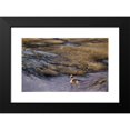 thumbnail image 2 of Bruno Liljefors 14x10 Black Modern Framed Museum Art Print Titled - Grebe (1907), 2 of 5