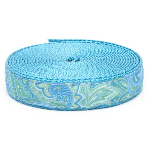 Country Brook Design® 3/4 inch Green Paisley on Ice Blue Nylon Webbing, 50 Yards