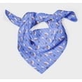 thumbnail image 3 of Bimba Blue Vegetable & Leaves Stripe Pure Silk Printed Scarf Dupatta Head Neck Wrap Bandanas For Women 40 x 80 Inches, 3 of 6