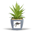 thumbnail image 1 of Australia Kangaroo Colored Drawing Illustration Fake Pineapple Flower Pot Vase Mini Decor, 1 of 3