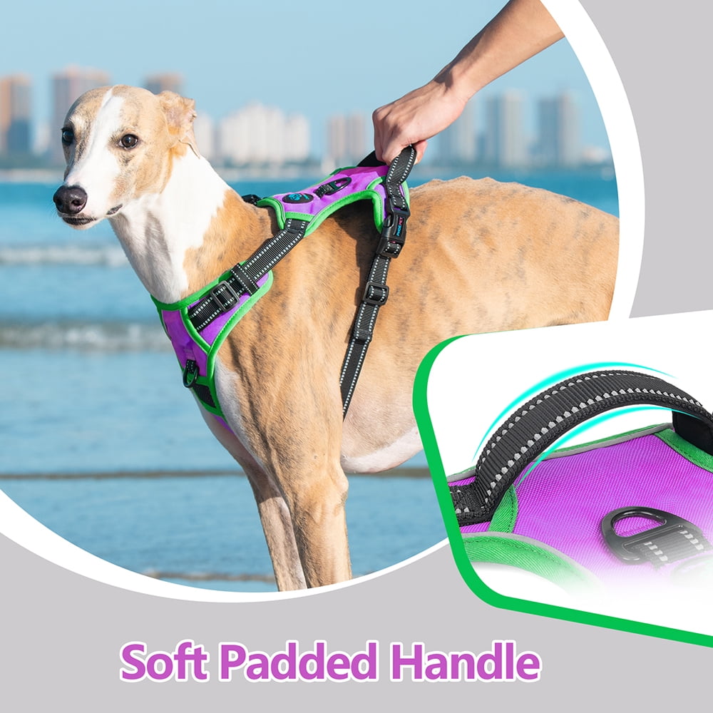 PHOEPET 2019 Upgraded No Pull Dog Harness, Reflective Adjustable Vest, with a Training Handle + 2 Metal Leash Hooks+ 3 Snap Buckles +4 Slide Buckles
