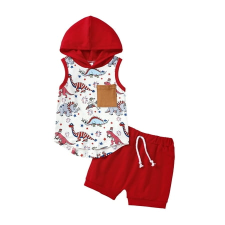 

4th of July Toddler Baby Boys Outfits Short Sleeve Dinosaur Print Hoodie T Shirts Tops and Shorts Set Summer Clothes
