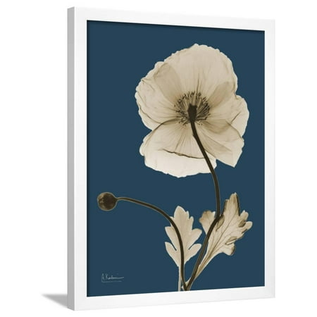 - Tonal Poppy on Navy Framed Print Wall Art By Albert Koetsier