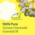 thumbnail image 5 of Plant Therapy German Chamomile Essential Oil 100% Pure, Undiluted, Natural Aromatherapy 10 mL (1/3 oz), 5 of 8