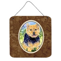 Carolines Treasures SS8894DS66 Norwich Terrier Aluminum Metal Wall or Door Hanging Prints, 6 x 6", Multicolor