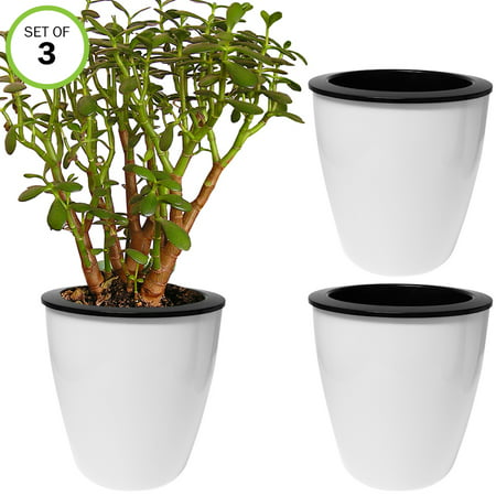 Evelots Self Watering Planter-Indoor-Outdoor-Flower-Herb-Seed-10 (Best Self Watering Tomato Planters)