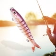 thumbnail image 3 of Señuelo de pesca Zulema 8 Segment Bass Señuelos Bionic Hooks Pesca Un rosa, 3 of 8
