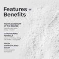 thumbnail image 2 of Paul Mitchell Dandruff Shampoo, 1% Zinc Pyrithione, Gentle Enough For Daily Use, Color Safe, For Dandruff-Prone Scalps + All Hair Types, 2 of 7