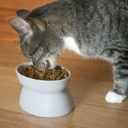 Kitty City, Cat Bowls, Plastic Elevated Feeding Pet Bowls, Multi-Color, O/S, 2 Pack