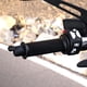 thumbnail image 5 of Kenally Empuñadura calefactable de tela para motocicleta, luz indicadora de 3 marchas desmontable, Control de botón lavable, calentador de manos Accesorios para motos Kenally VI017912-00, 5 of 6