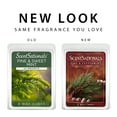 thumbnail image 3 of Pine & Peppermint Scented Wax Melts, ScentSationals, 2.5 oz (1-Pack), 3 of 4