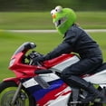 thumbnail image 4 of Lishi RuiKalucky Cartoon Animal Style Motorcycle Helmet Protective Cover Set, 4 of 4