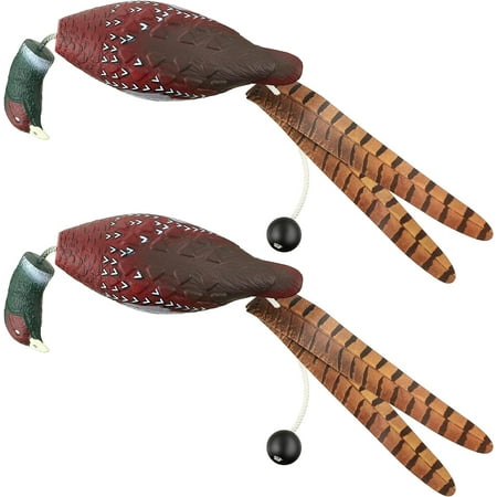 Saillong 2 Pack Pheasant Toy compatible Dog Training Pheasant Hunting Dogs Training Dummy Bumper Retriever Training Floating Dead Fowl Trainer compatible Hunting Retriever D(Whatever Goods)
