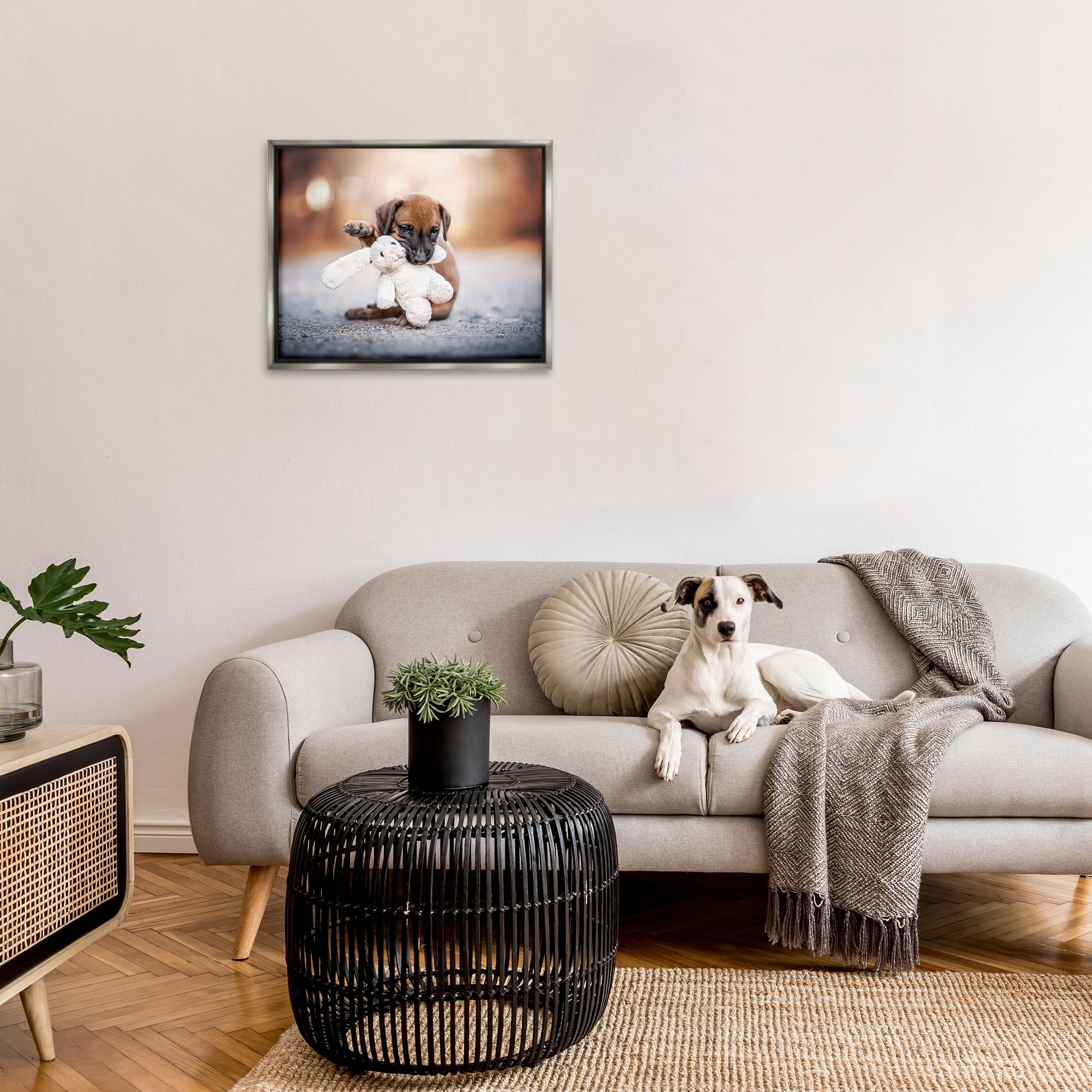 Stupell Industries Puppy with Plushie Toy Animals & Insects Painting Gray Floater Framed Canvas Art Print Wall Art, 31 x 25