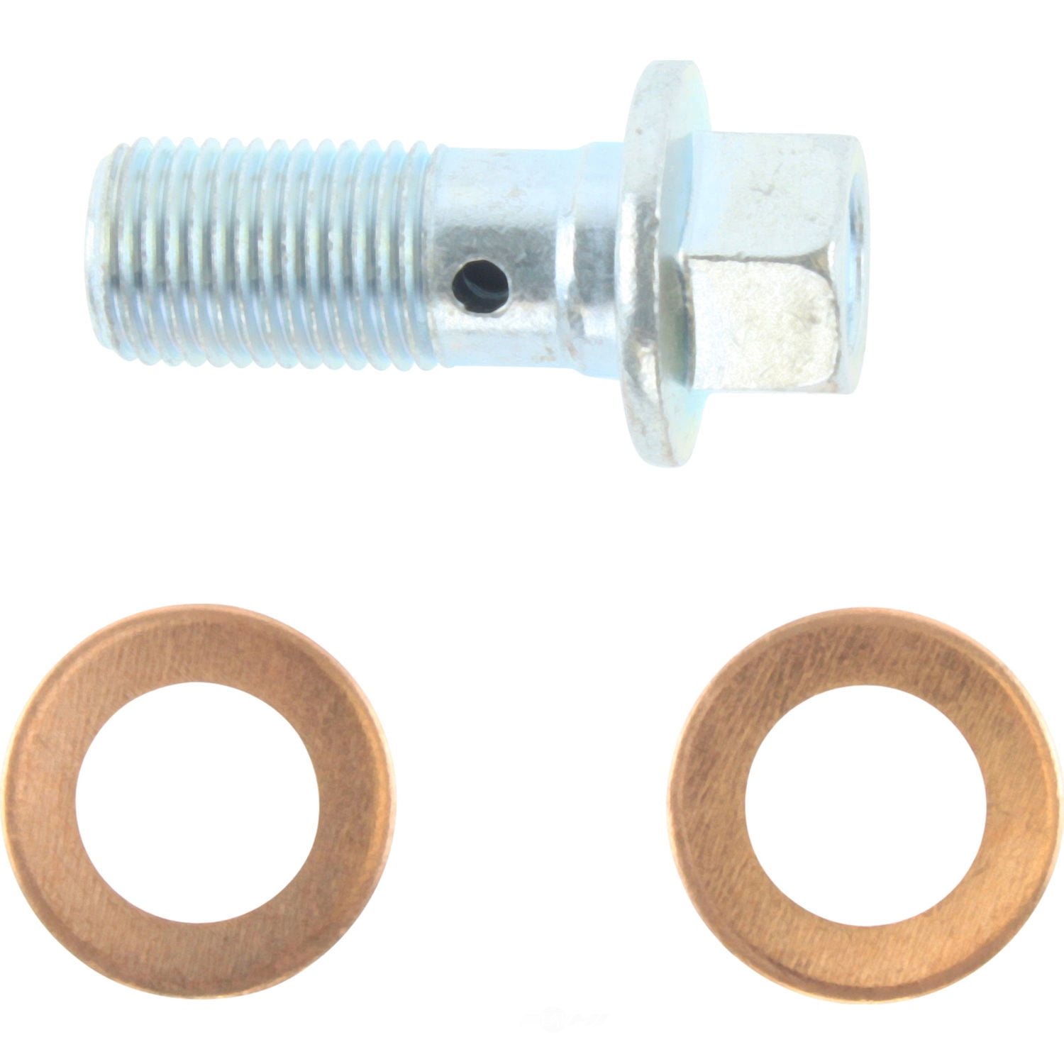 Centric Parts 142.51501 Centric Posi-Quiet Loaded Disc Brake Calipers