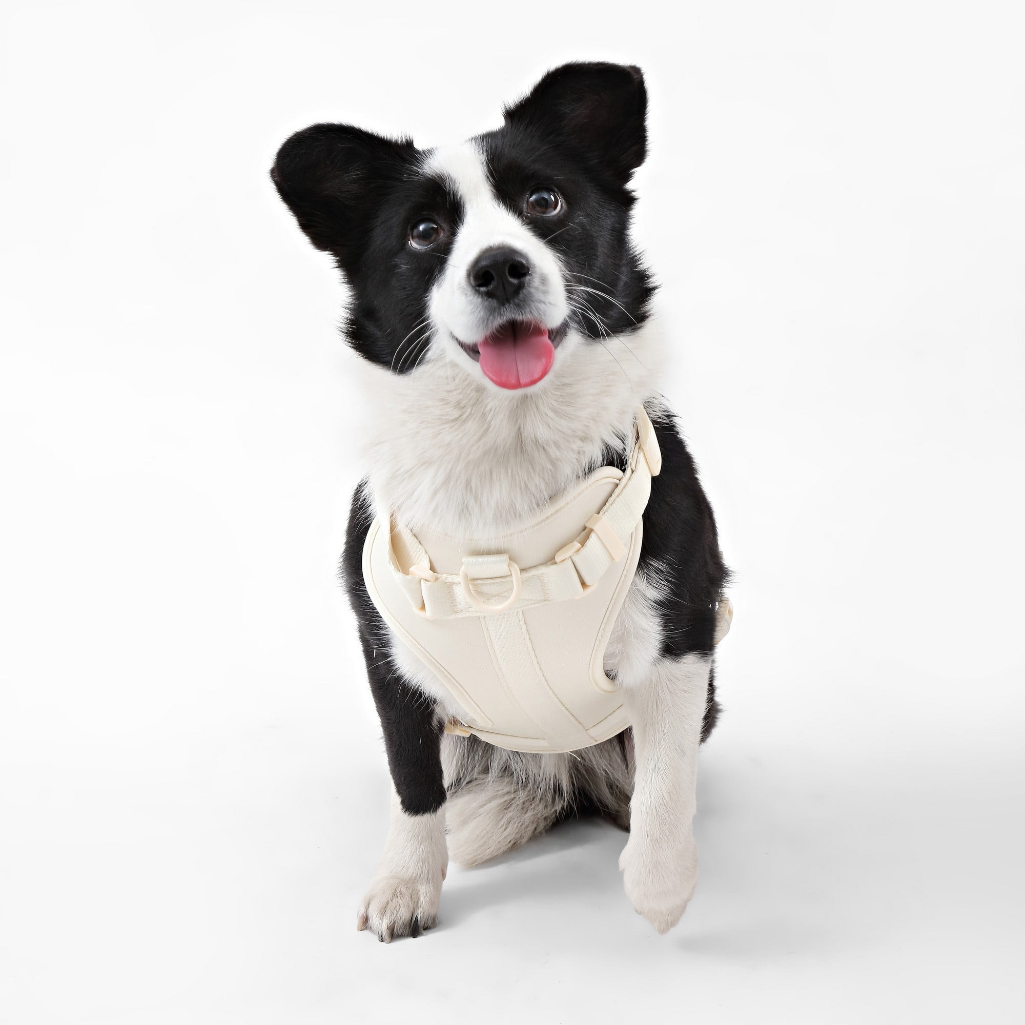 THE LICKER STORE Arlo Large Adjustable Soft Padded No Pull Pet Harness with 3 Buckles and 3 Leash Clips, Almond, HNS1003L