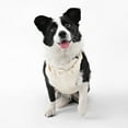 thumbnail image 2 of THE LICKER STORE Arlo Large Adjustable Soft Padded No Pull Pet Harness with 3 Buckles and 3 Leash Clips, Almond, HNS1003L, 2 of 8