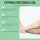 thumbnail image 5 of Aceite Cyperus Rotundus Natural para el Crecimiento del Cabello y la Salud de la Piel, 5 of 8