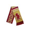 thumbnail image 1 of Harry Potter Foulard de Maison de Quidditch Gryffondor, 1 of 1