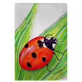 thumbnail image 1 of Betsy Drake GT457 Ladybug Guest Towel - 20 x 20 in., 1 of 1