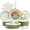 Green, variant on Bakken 17-Piece Ceramic Coated Aluminum Cookware Set, Nonstick Pots & Pans with Lids, Silicone Utensils & Oven Mitts, All-Stovetop Safe to 500°F