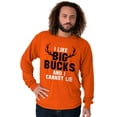 thumbnail image 4 of I Like Big Bucks Funny Hunting Men's Long Sleeve Tee T Shirt Brisco Brands M, 4 of 5
