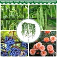thumbnail image 4 of Lolsea 90*70*45" Updated U-Shape Cucumber Trellis, Stainless Steel Outdoor Plant Garden Trellis with Climbing Net, 4 of 6