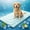 Blue, variant on Cooling Mat for Dogs, 48"x28" Self-Cooling Dog Bed with Arc-Chill Technology 3.0, Non-Slip Washable Pet Cooling Pad for Small & Medium Dogs, Indoor Outdoor Kennel Floor Use