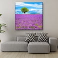 thumbnail image 2 of Cuadro Canva Listo Para Colgar Pixtreats Arbol En Campo De Lavanda 40X40 cm, 2 of 4
